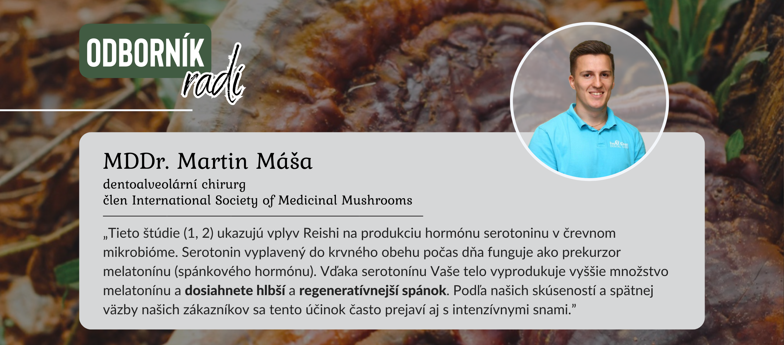Reishi (ganoderma lucidum) a spanek, relax, odpocinek