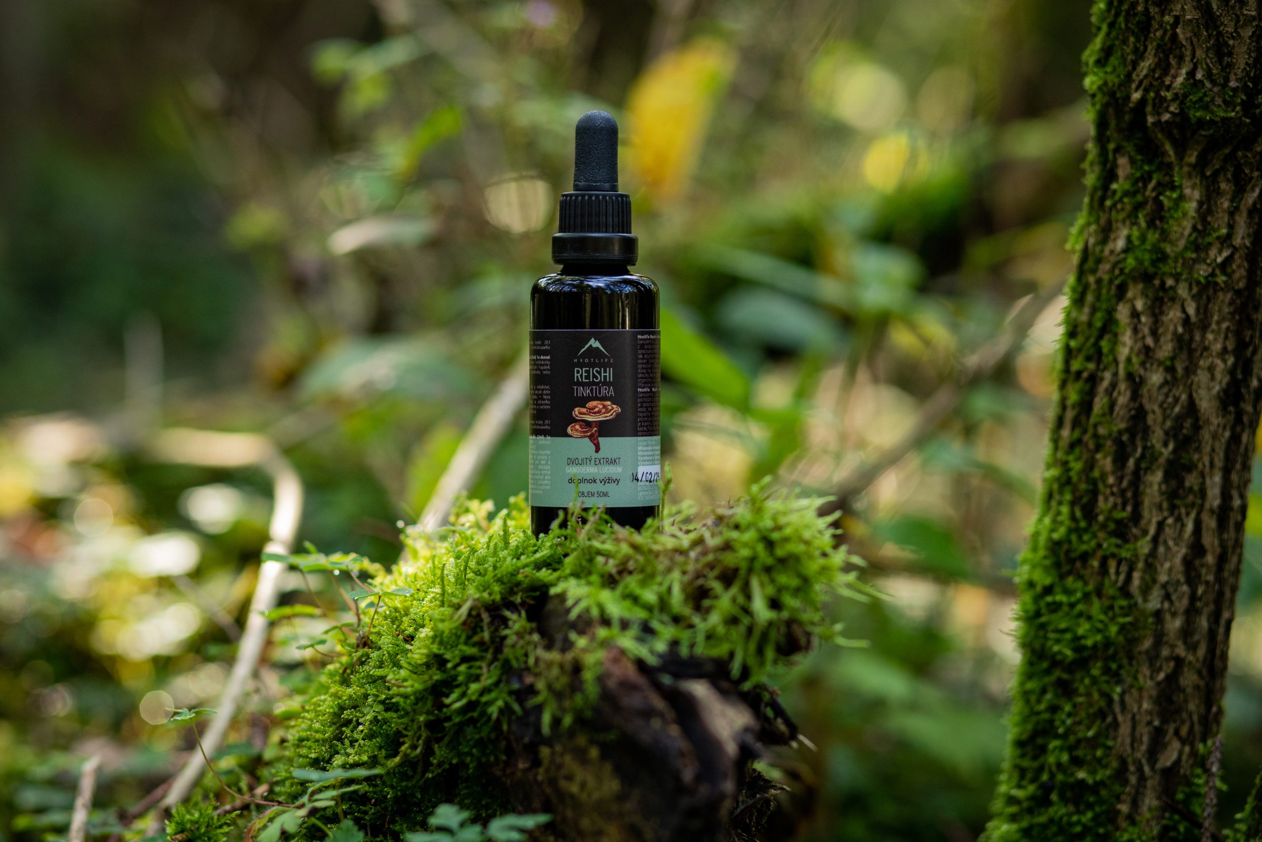 reishi (ganoderma lucidum) tinktura hrotlife 50 ml
