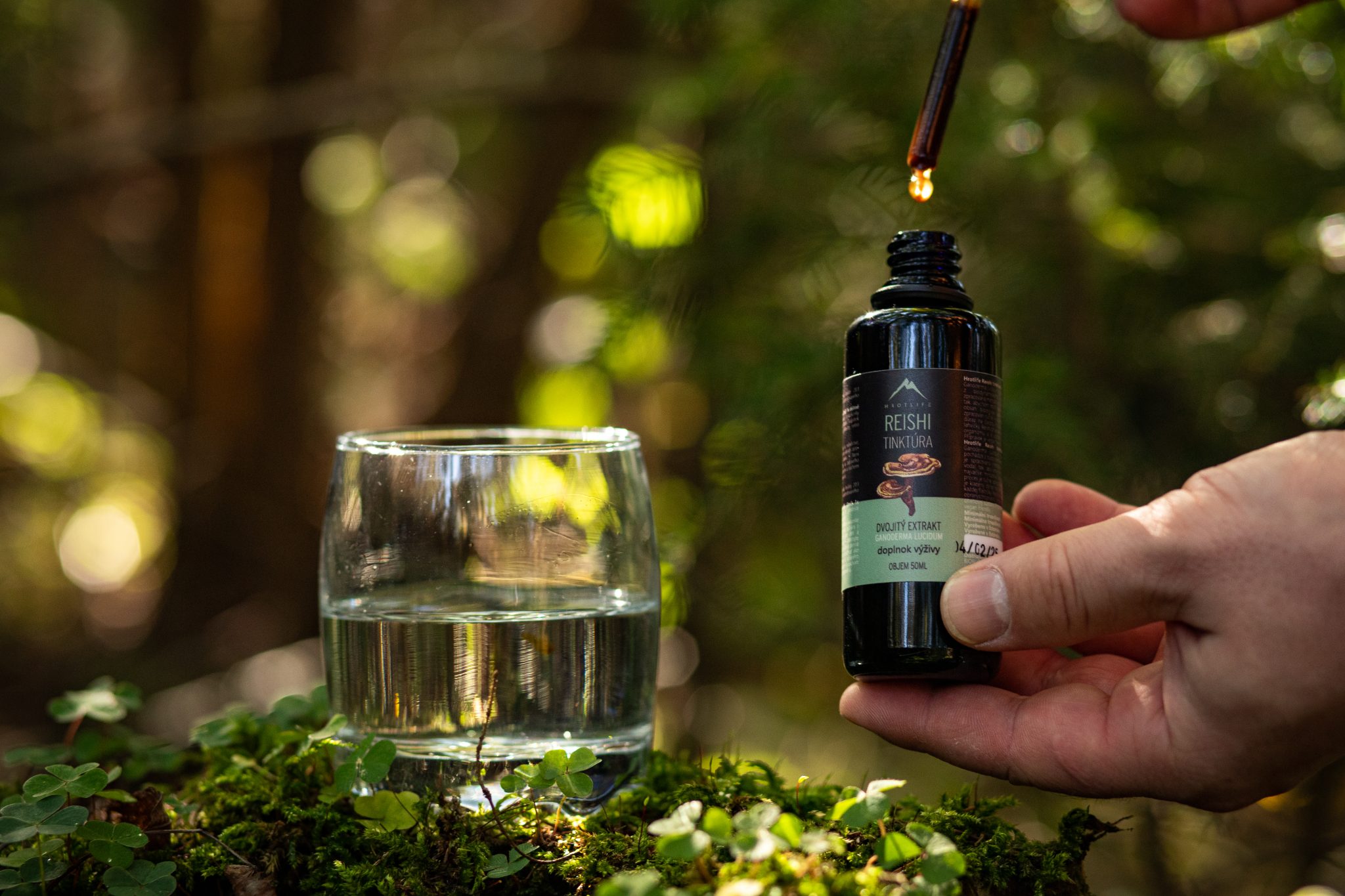 Reishi tinktura Hrotlife dávkování